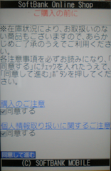 20110106_04.png