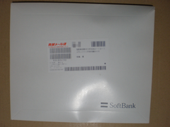 20110107_01.png