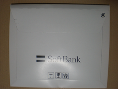 20110107_02.png
