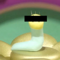 20110829_11.png