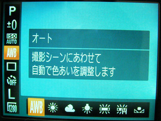 20120828_07.JPG