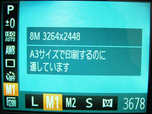 20120828_11.JPG