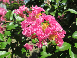 20120905_05.JPG